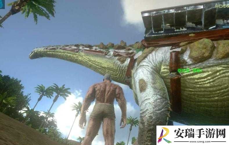 方舟生存进化