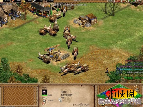 全面指南