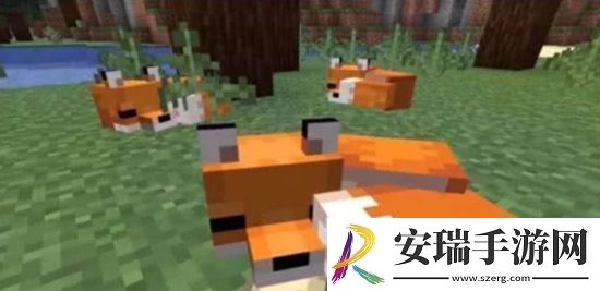 我的世界被玩家们忽略的细节有哪些