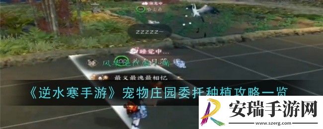 逆水寒手游宠物庄园委托种植怎么做