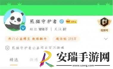企鹅家族探秘