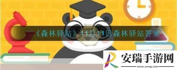 企鹅家族探秘