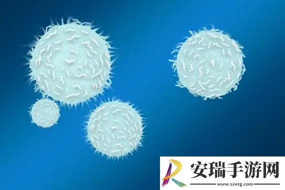 正常情况下人的血液中什么细胞最少