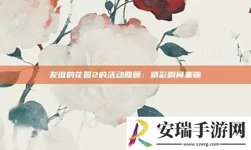友谊的花园2的活动回顾