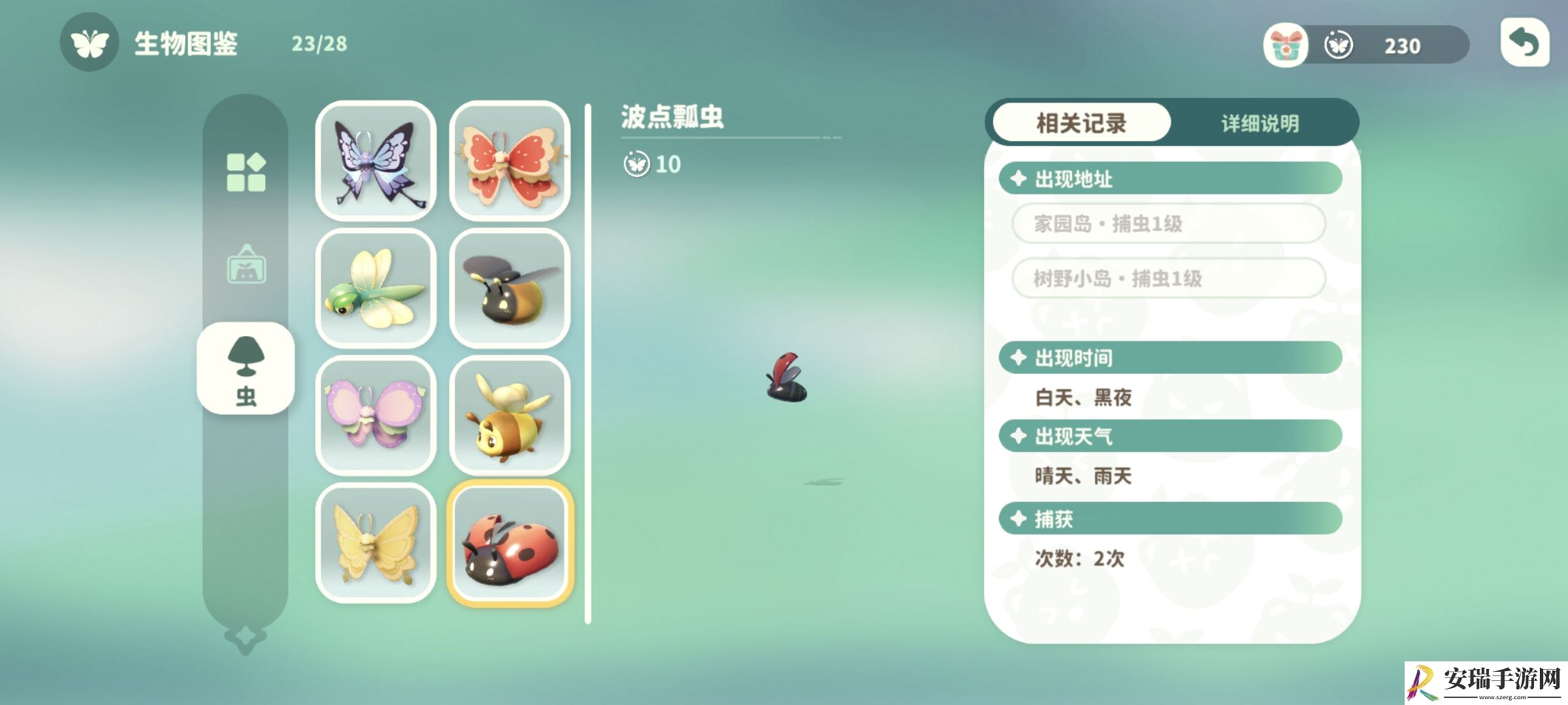 米姆米姆哈波点瓢虫在哪捕捉