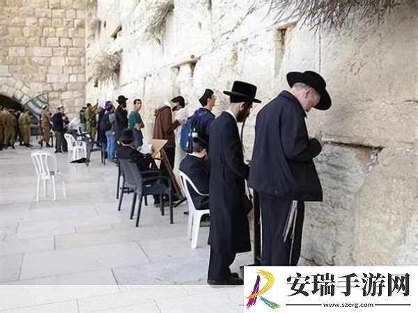 美国人与畜禽合作项目