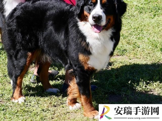 辣眼睛