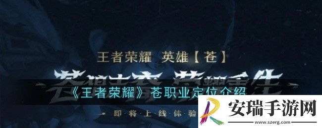 王者荣耀苍职业定位是什么