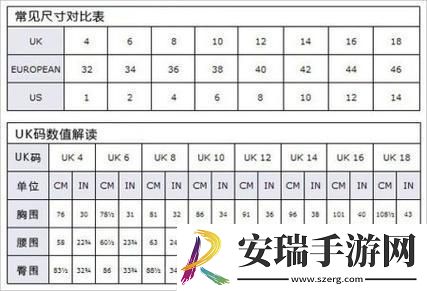 欧美的L号与日本的LL号