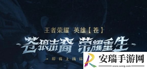 王者荣耀苍职业定位是什么