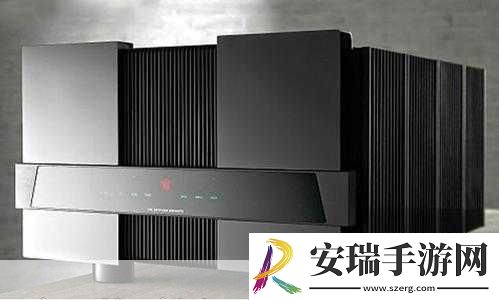 贵丰大菠萝333