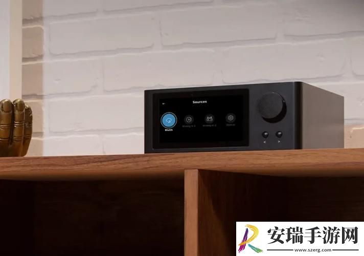 “私家影戏院