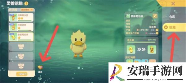 摩尔庄园手游怎么喂养灵兽
