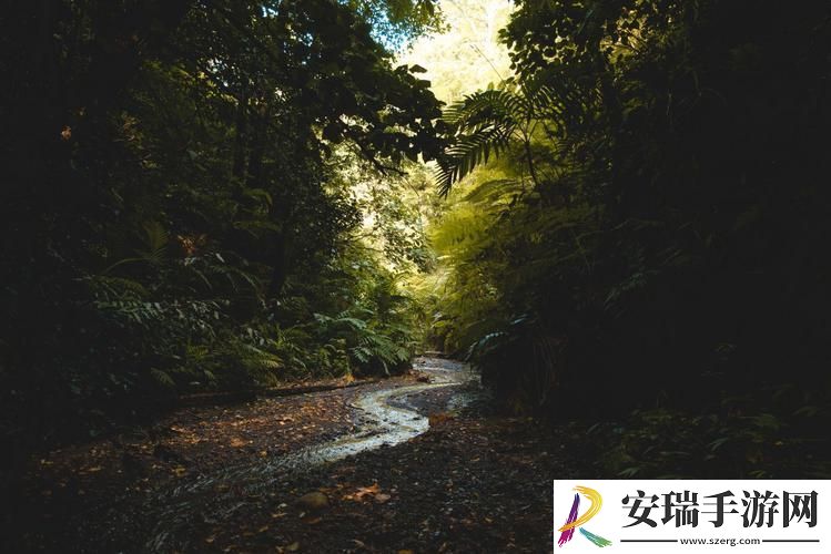 黑色森林的诡秘溪流