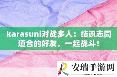 karasuni对战多人使用时不用担心限速