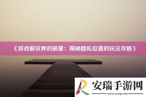 游戏解说界的新星