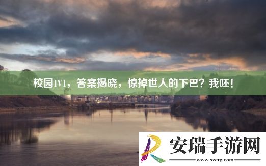 校园1V1