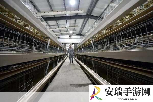 美国人与畜禽CROPROATION