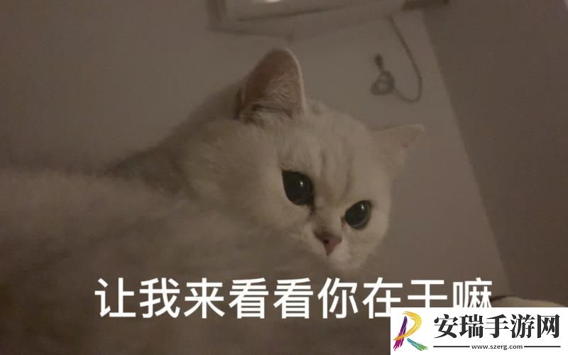 密码密林探幽