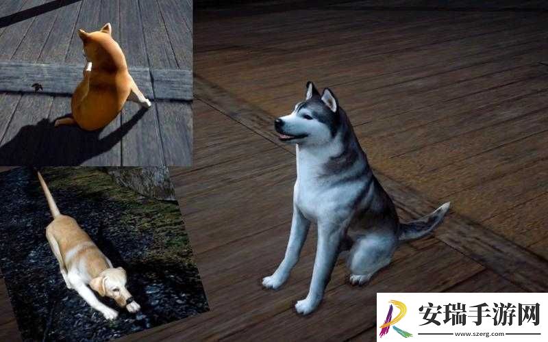 黎明觉醒