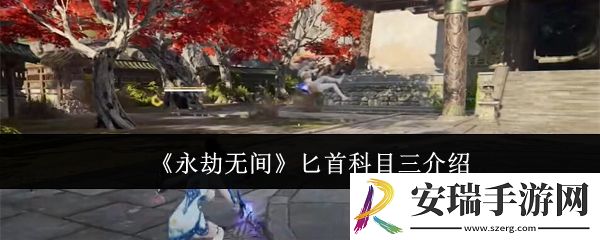 永劫无间匕首科目三是什么