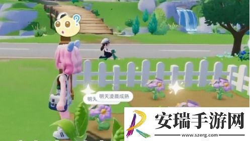 心动小镇种的花拿来干嘛