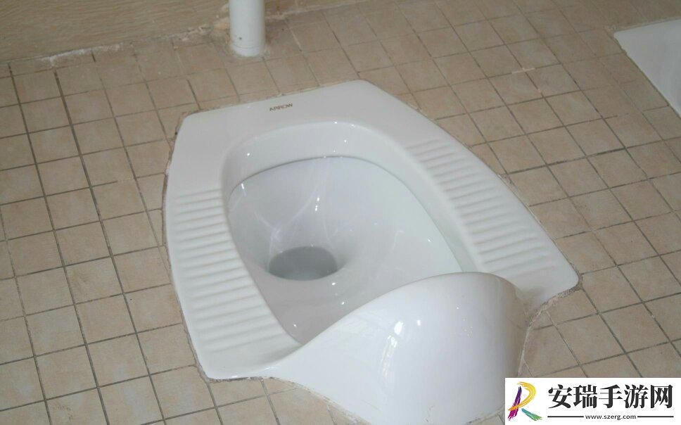 考渣逆袭！当学校蹲便器