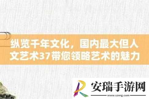 37大但人文艺术company简介