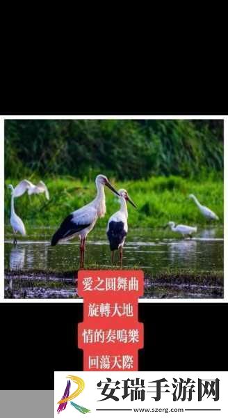 大地资源第二页免费观看