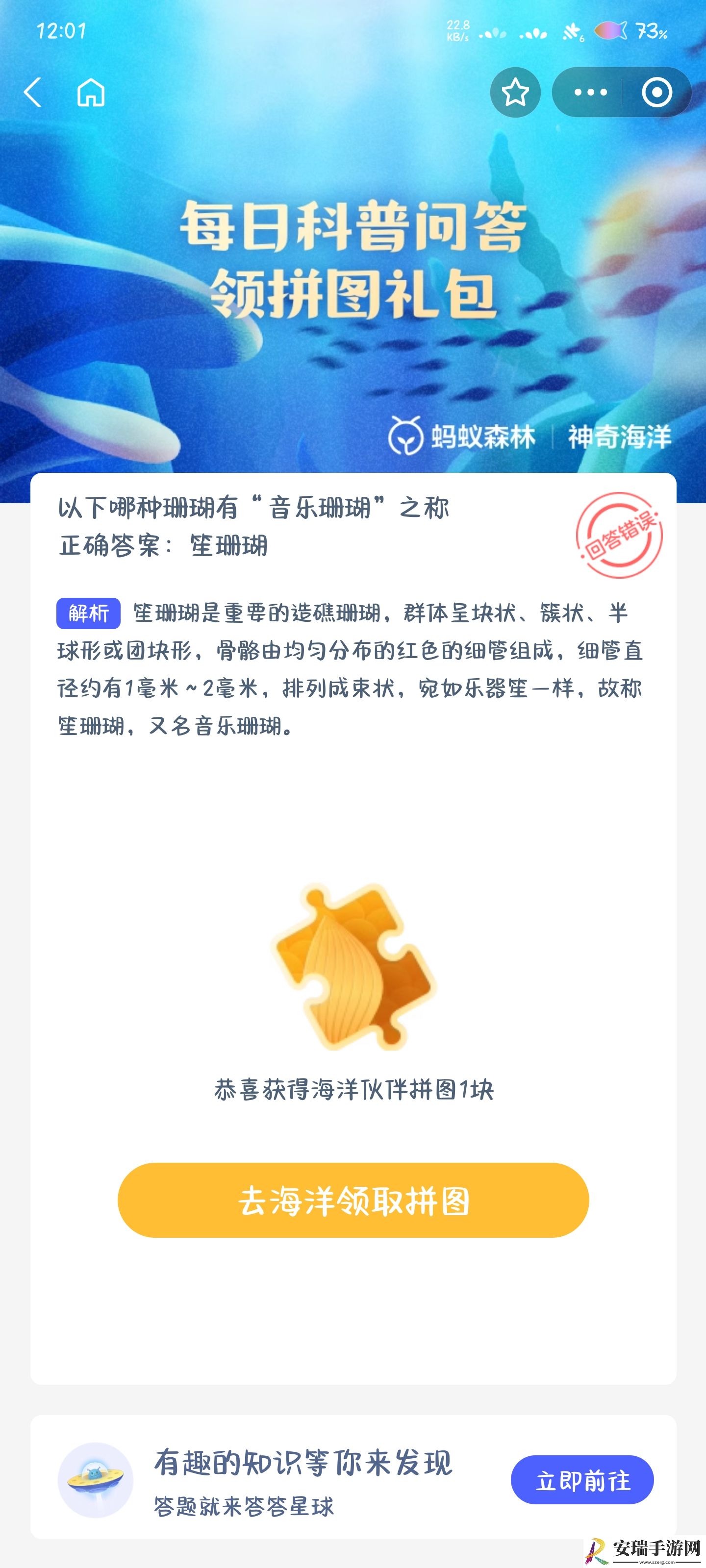 以下哪种珊瑚有音乐珊瑚之称