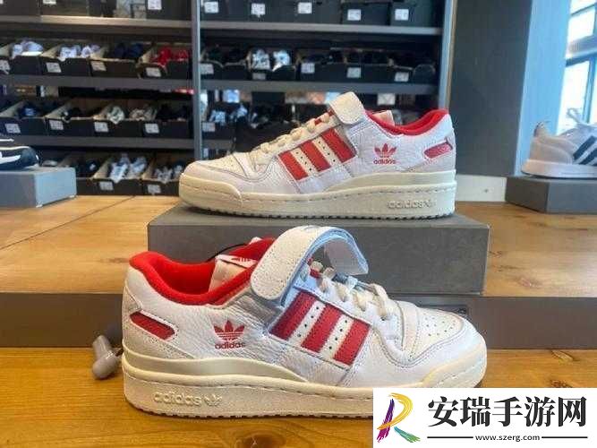 三叶草