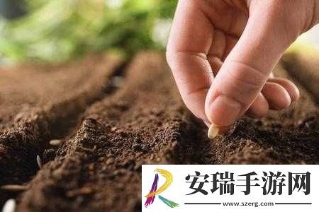 耕种妈妈肥沃的土地