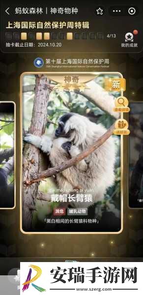 梦幻花园全国玩家盛会深圳启幕