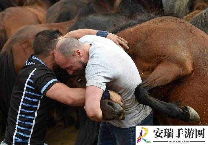 人马畜禽人