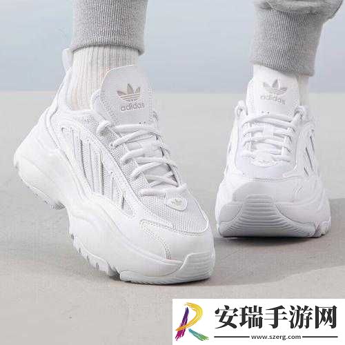三叶草