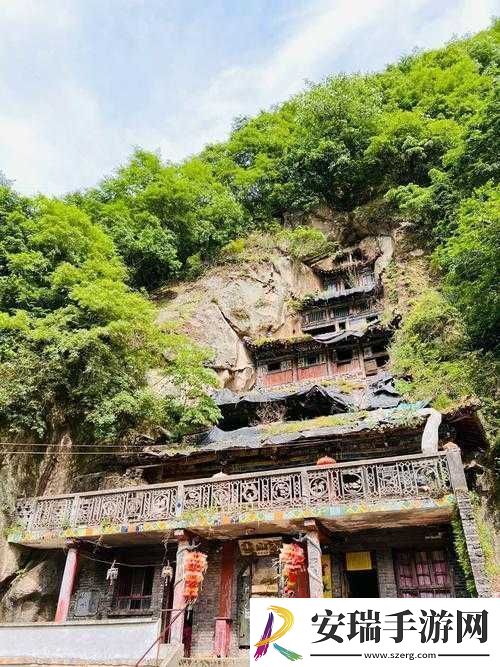 伊春园2025入口直达大象