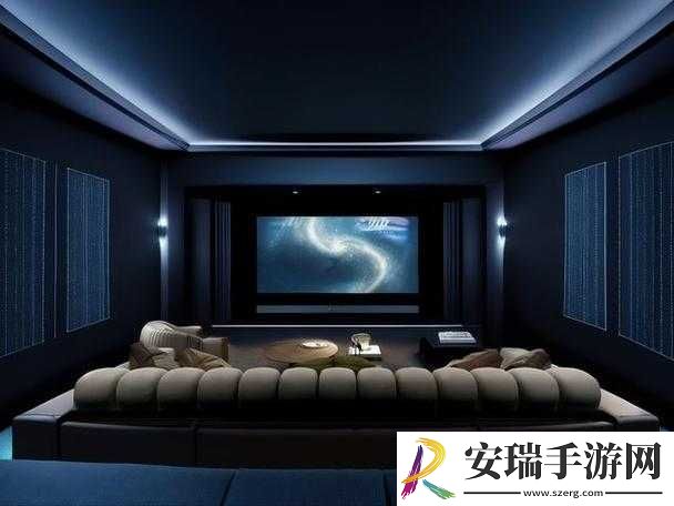 专业私人家庭影院