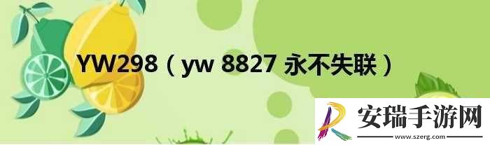 yw永不失联国际9