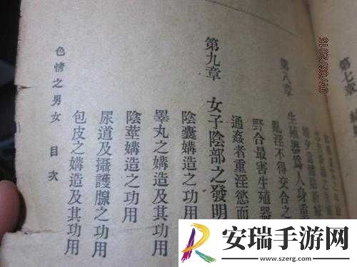 傅夫子俩