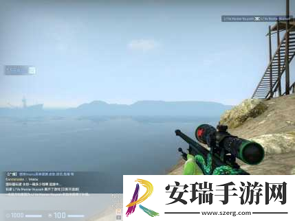 日本CSGO大姐姐AWP价格多少钱