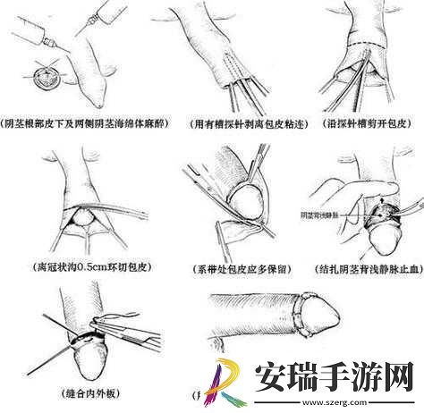探索**的奥秘