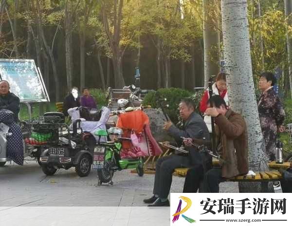 公园小树中老年交易图片1.＂公园小树