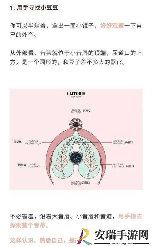 怎么让小豆豆变大的方法