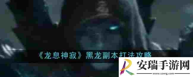 龙息神寂黑龙副本打法是什么