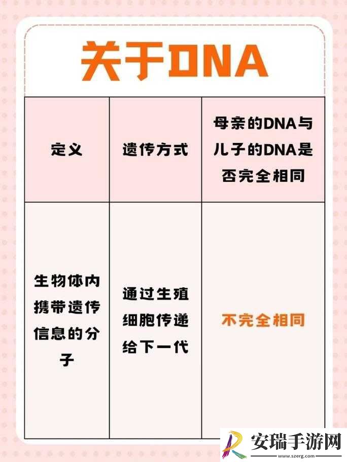 母亲