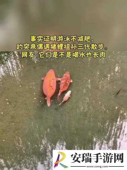 女人鲤鱼喝水图解大全之详细解析