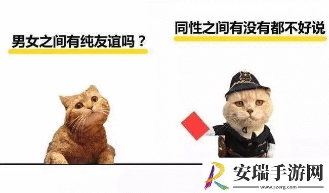 埃及猫和小男孩瑟瑟的奇妙友谊