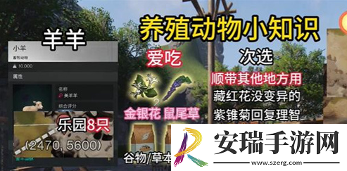 七日世界动物怎么抓捕