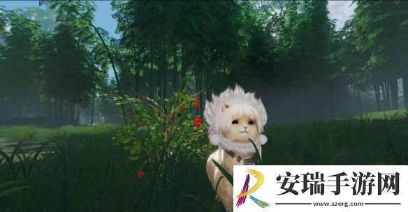 剑网3解心语宠物奇遇怎么做