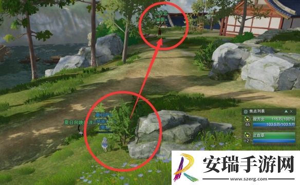剑网3夜哀鸣宠物奇遇怎么做